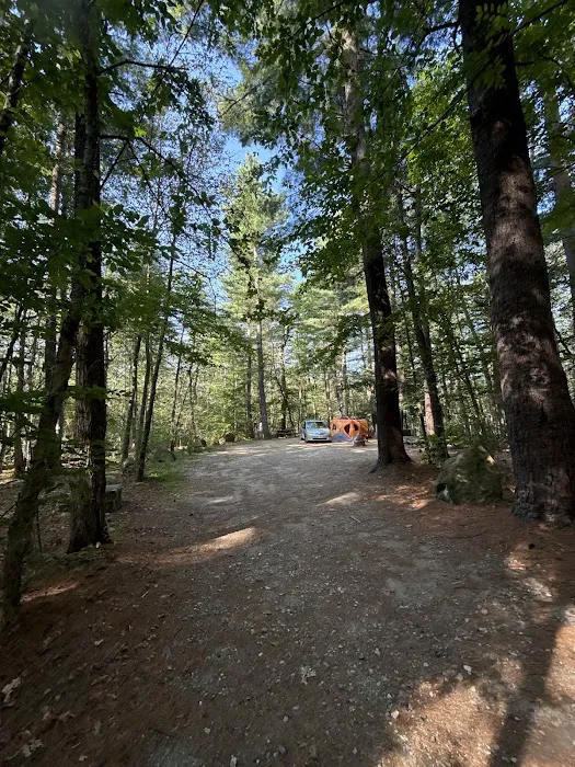 Tolland Campsite #79 8