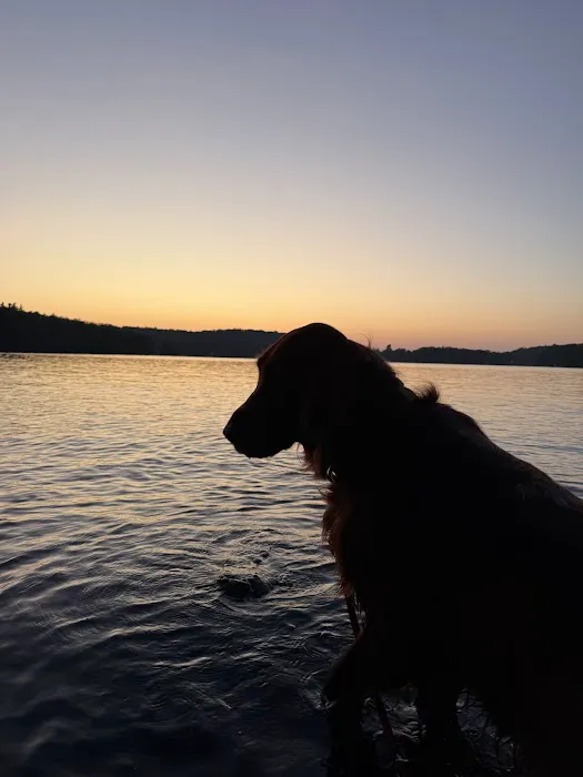 Tolland Campsite #79 0