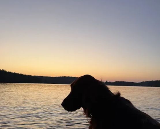 Tolland Campsite #79