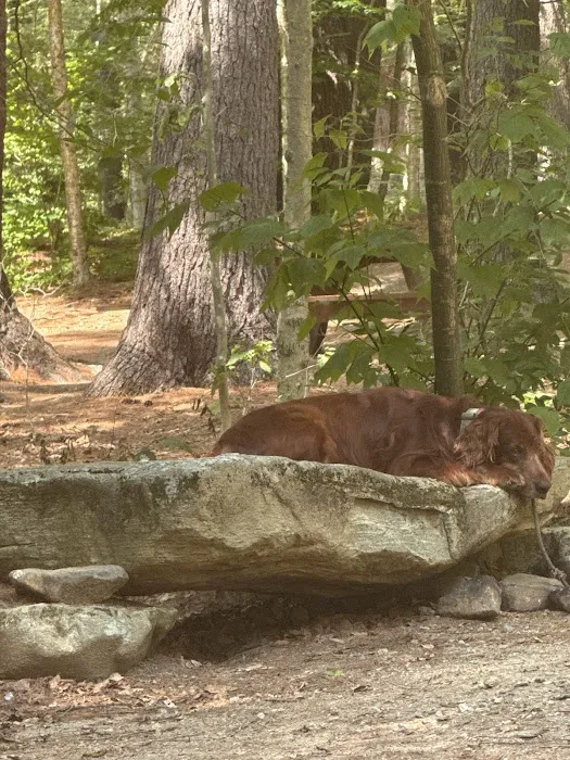 Tolland Campsite #79 2
