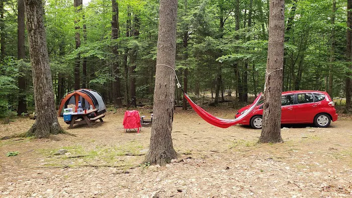 Tolland Campsite #79 3