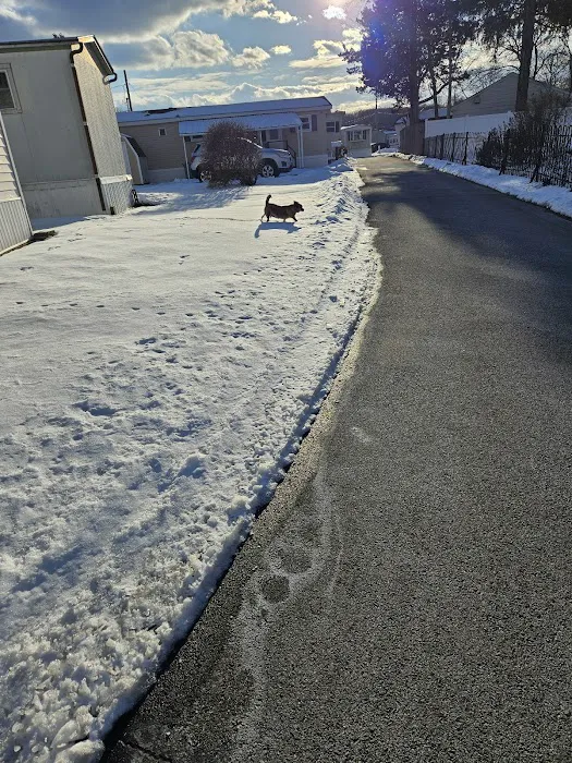 Sunny Acres Trailer Park Inc 0