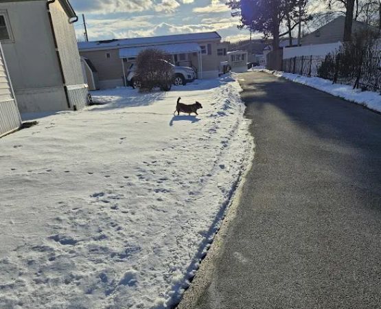 Sunny Acres Trailer Park Inc