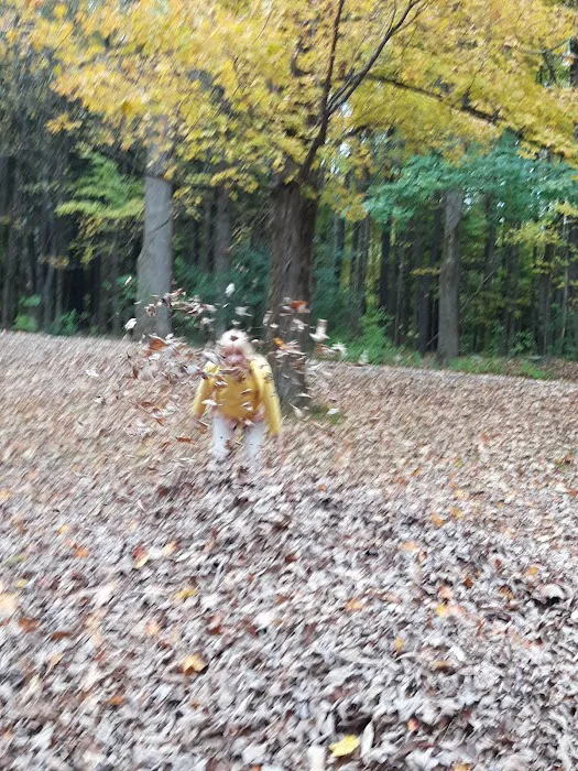 October Mountain State Forest Campground 7