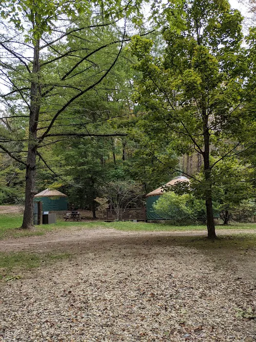 October Mountain State Forest Campground 5