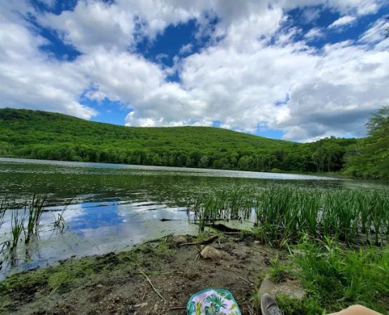 October Mountain State Forest Campground