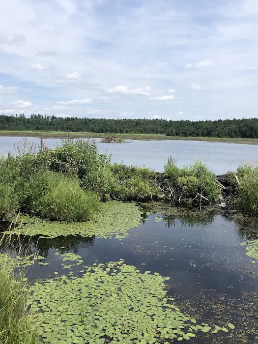 October Mountain State Forest Campground 6
