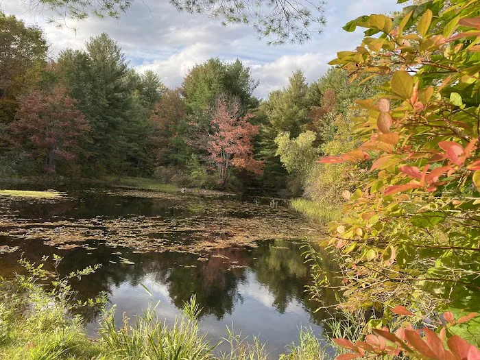 Bonny Rigg Camping Club Inc 1