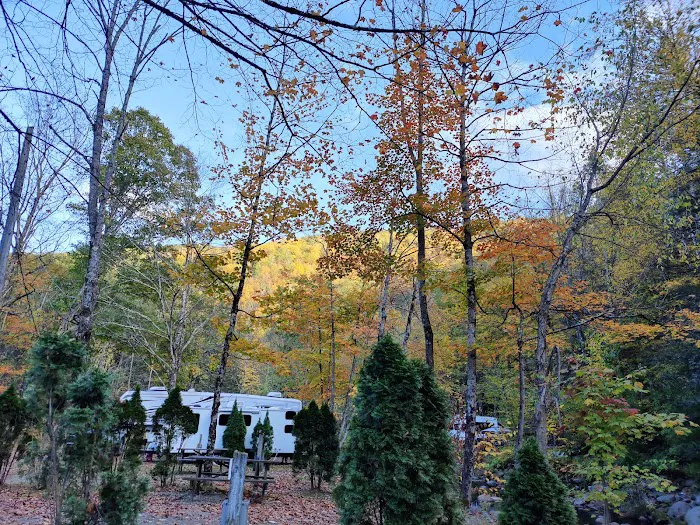 Walker Island Family Camping 5