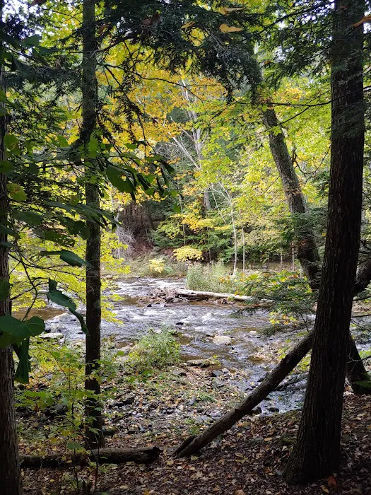 Walker Island Family Camping 3
