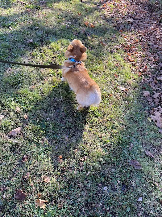 Totoket Valley RV Park 0