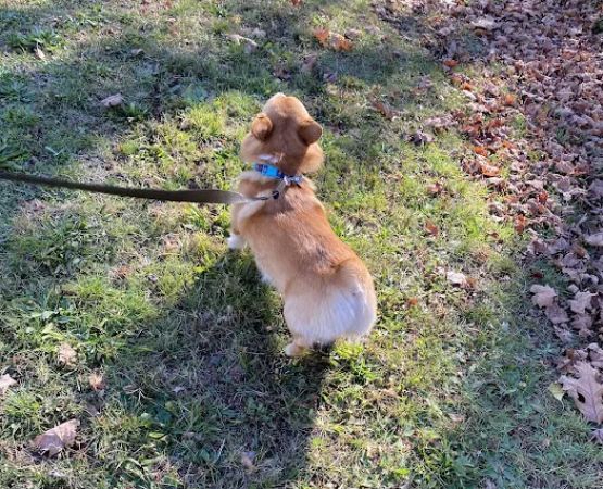 Totoket Valley RV Park