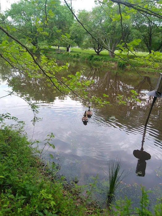 Susquehanna State Park Campground 5