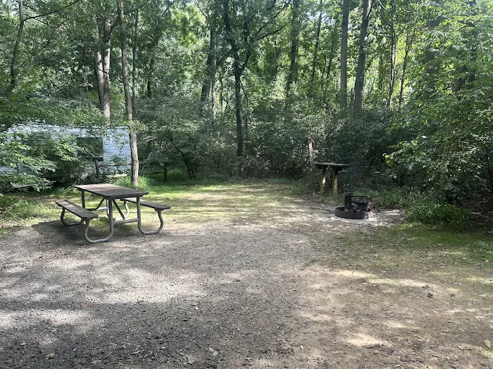 Susquehanna State Park Campground 8