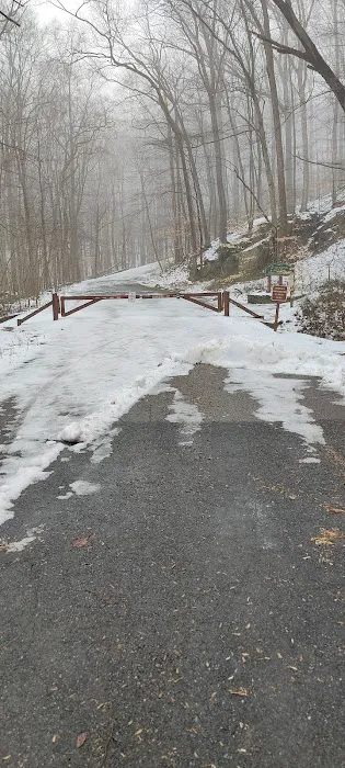 Susquehanna State Park Campground 7