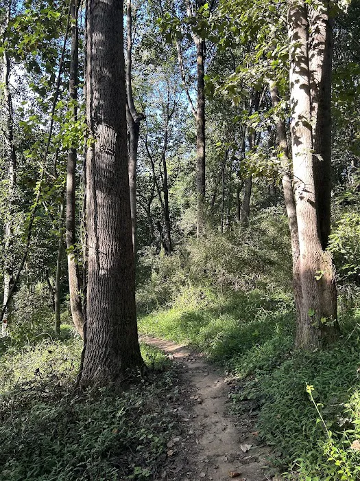 Susquehanna State Park Campground 1