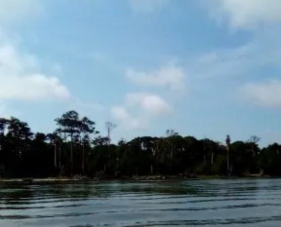 Conowingo Mobile Home Court