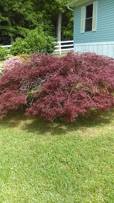 Conowingo Mobile Home Court 9