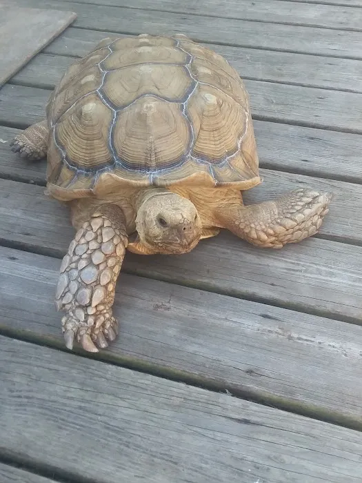 Cedar Springs Mobile Home Park 3