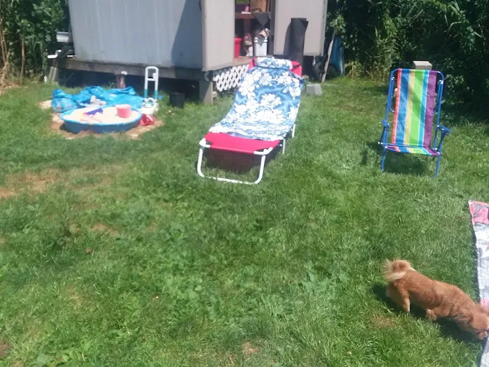 Cedar Springs Mobile Home Park 4