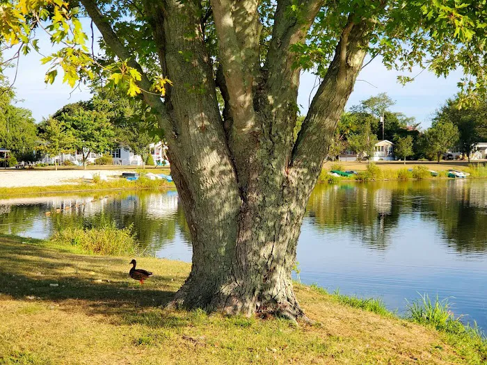 Garden Lake Park & Sales 9