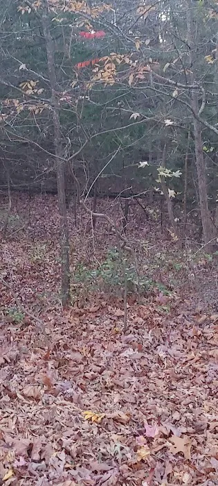 Edgewood Village Homes 5