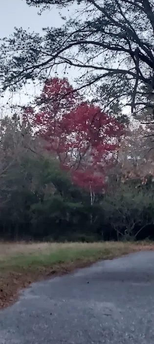 Edgewood Village Homes 0