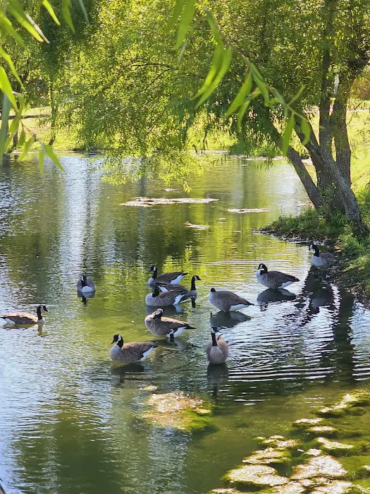 Grande Woods North 3