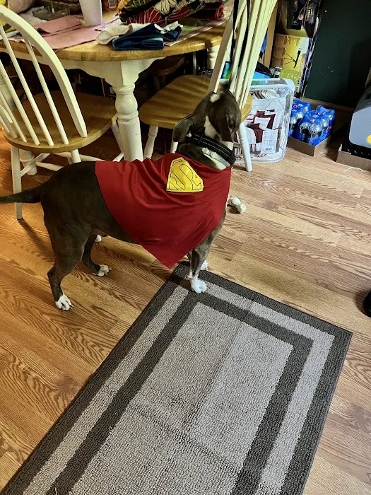 Forest Grove Mobile Home Park 1