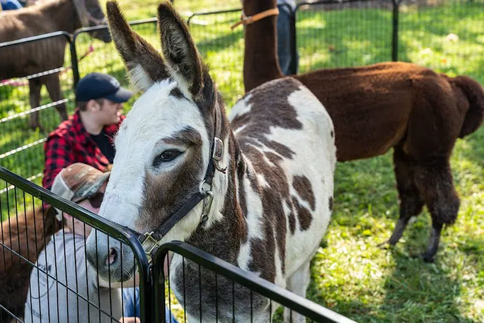 Huck and Buck Farm, LLC 7