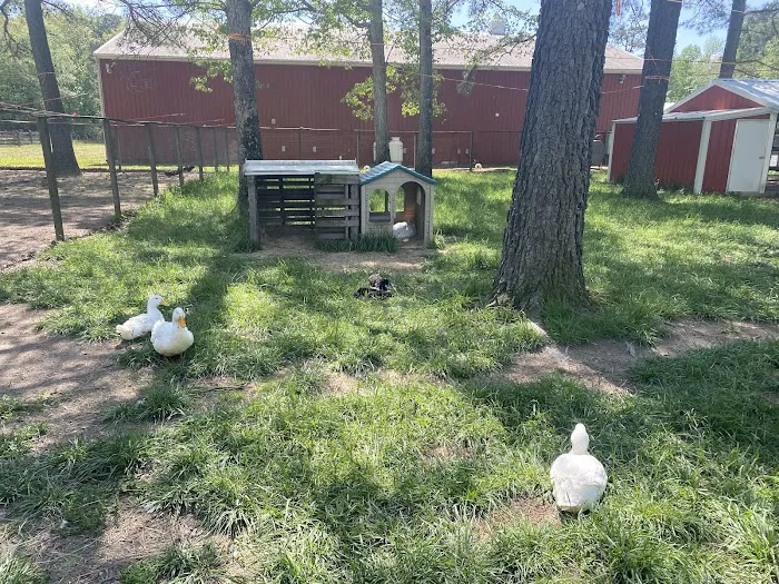 Adventures Await Retreat & Meadery/ Winery 9