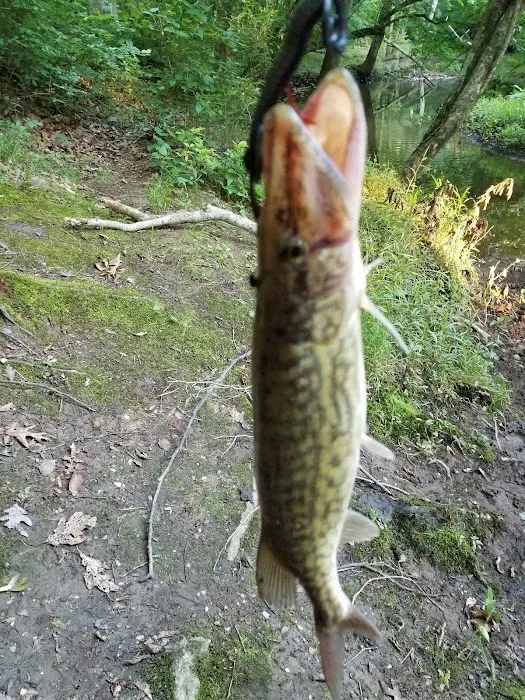 Holiday Park Campground 1