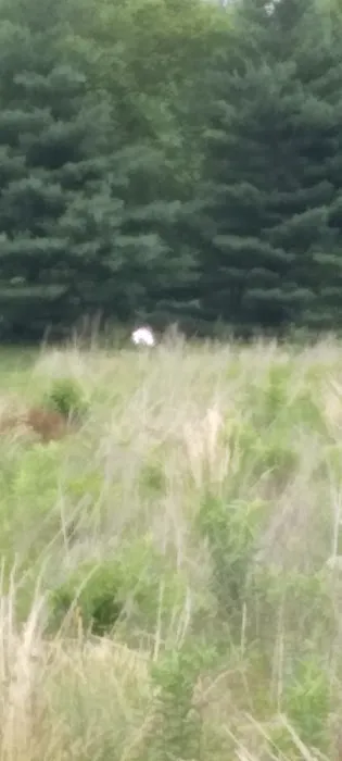 Frederick Lodge Manufactured Home Community 0