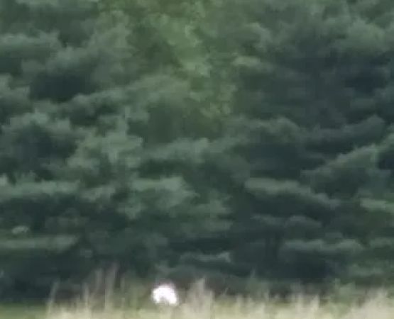 Frederick Lodge Manufactured Home Community