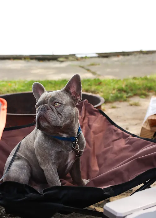 Bar Harbor RV Park and Marina 0