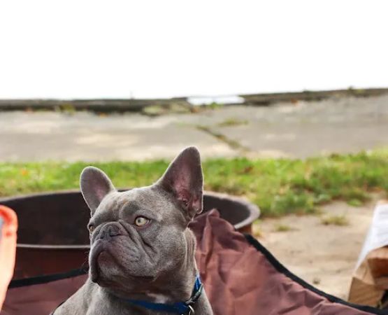 Bar Harbor RV Park and Marina