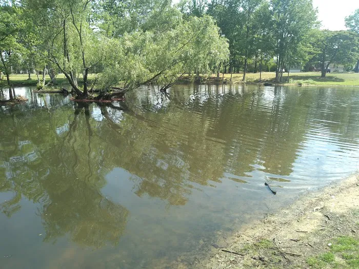 Pine Springs Mobile Home Park 0