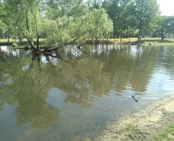 Pine Springs Mobile Home Park