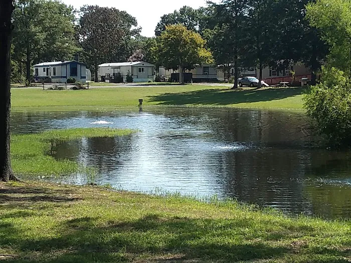 Pine Springs Mobile Home Park 3