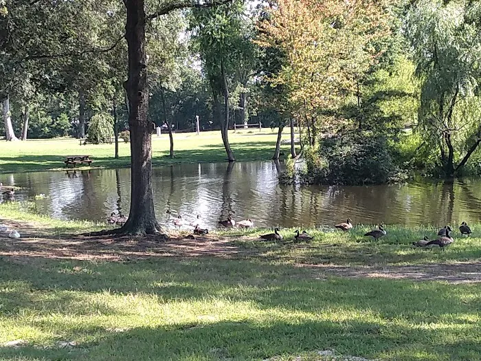 Pine Springs Mobile Home Park 4