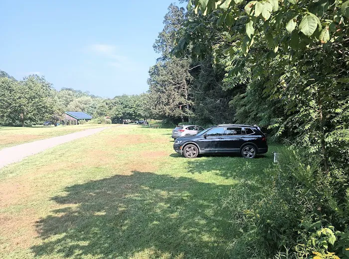 Salt Springs State Park West Meadow Camping Area 1
