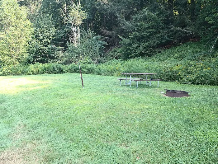 Salt Springs State Park West Meadow Camping Area 0