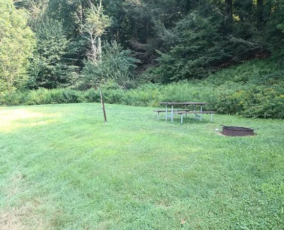 Salt Springs State Park West Meadow Camping Area