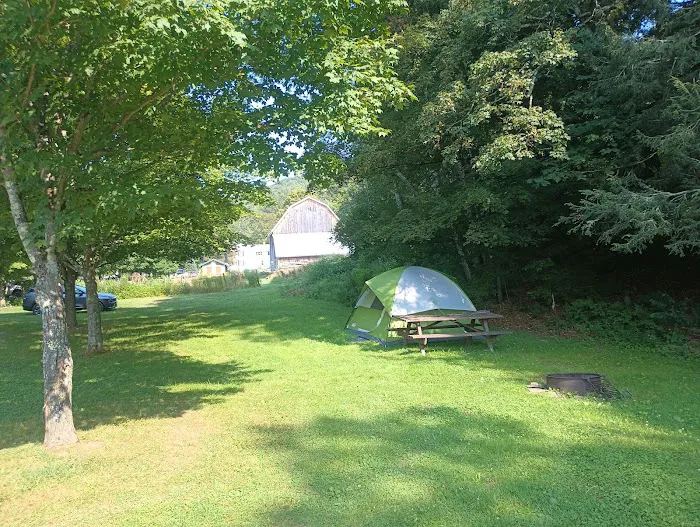 Salt Springs State Park West Meadow Camping Area 2