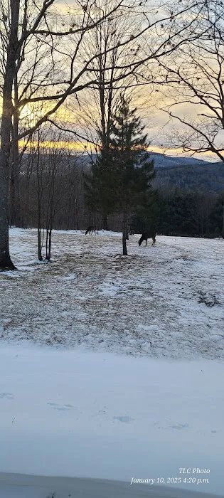 The Hills at Windsor 6