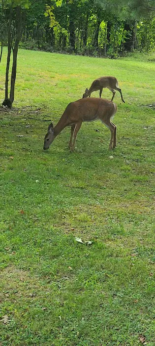 The Hills at Windsor 2