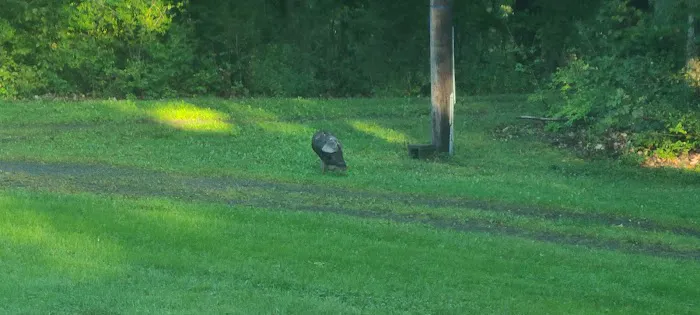 The Hills at Windsor 3