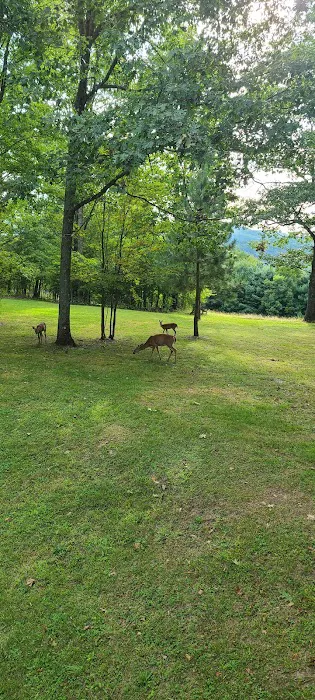 The Hills at Windsor 9