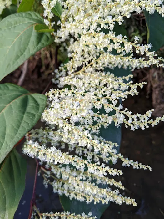 East Sidney Lake Campground 4