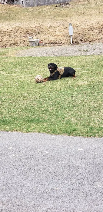 East Sidney Dam Recreation Area 4